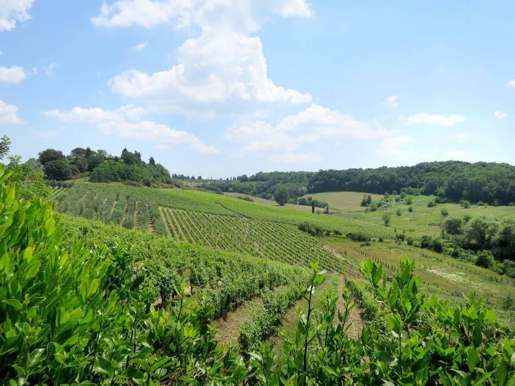Agriturismo La Moraia ポッジボンシ エクステリア 写真